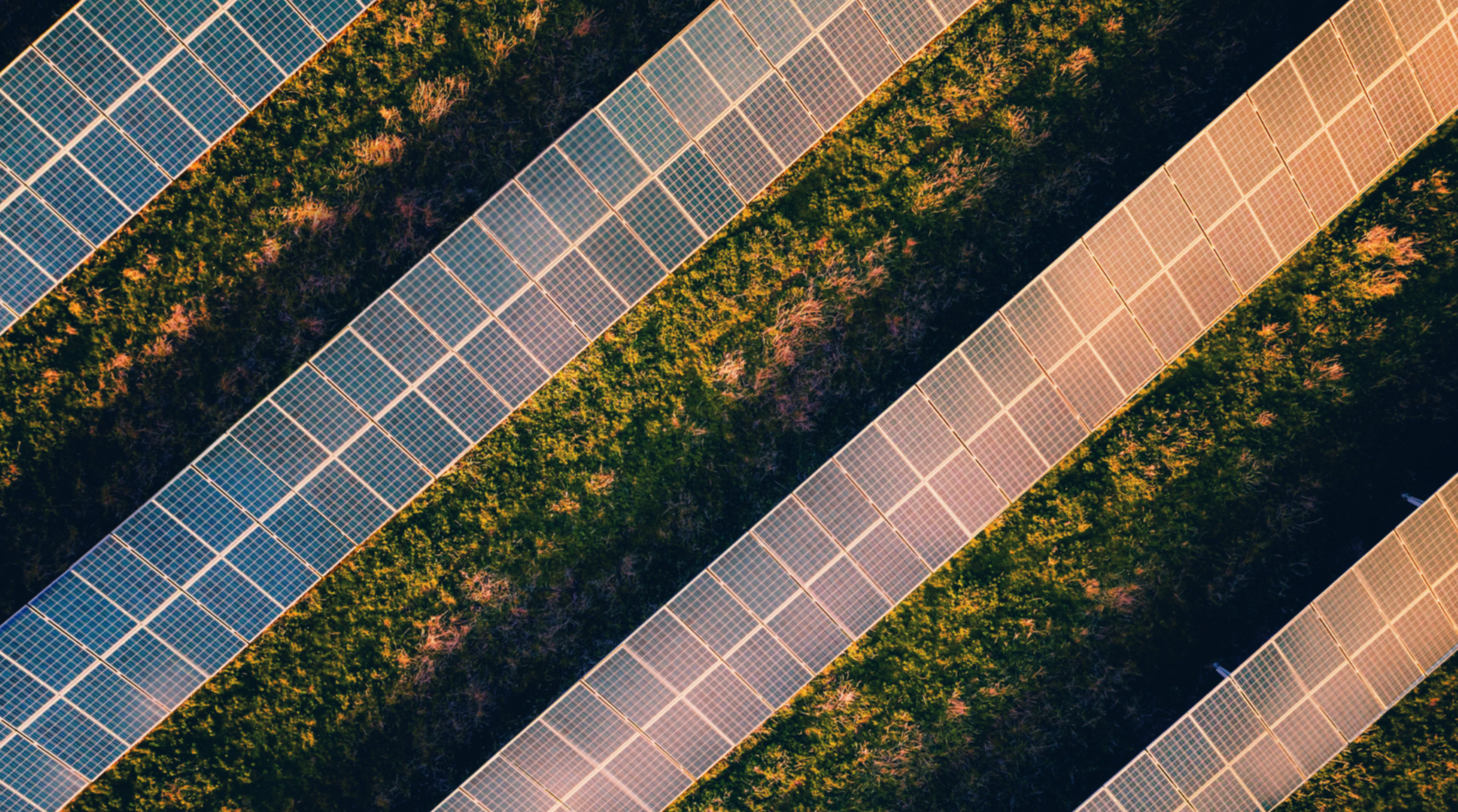 Springwell Solar Farm DCO